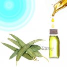 Eucalyptus Globulus Oil  Buy Online in USA/UK/Europe