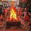 Bhumi Devi Gayatri Mantra Siddhi Japa and Yagna  Buy Online in USA/UK/Europe