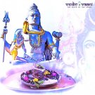 Parthiv Shivling Puja Buy Online in USA/UK/Europe