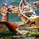 Shradh Puja   Buy Online in USA/UK/Europe