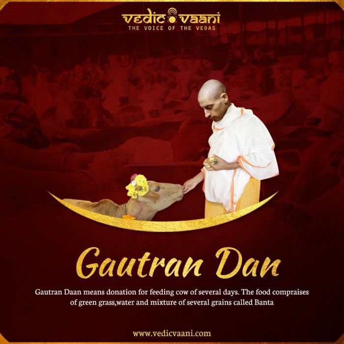 Gautran Daan Buy Online in USA/UK/Europe