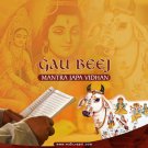 Gau Beej mantra Japa Vidhan Buy Online in USA/UK/Europe