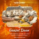 Gausat Daan Buy Online in USA/UK/Europe