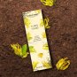 Ylang Ylang Incense Sticks Buy Online in USA/UK/Europe