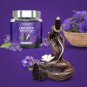 Vedic Vaani Natural Backflow Lavender Fragrance Incense Dhoop Cones