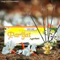 Vedic Vaani Natural Fragrance Parijat Incense Stick Agarbattis