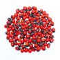 Chirmi beads - red Buy Online in USA/UK/Europe