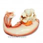Ganesha on Shankh ( Pen Stand ) Buy Online in USA/UK/Europe