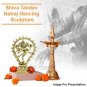 Shiva Tandav Natraj Dancing Sculpture in Brass Buy Online in USA/UK/Europe