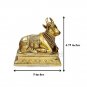 Nandi  Buy Online in USA/UK/Europe