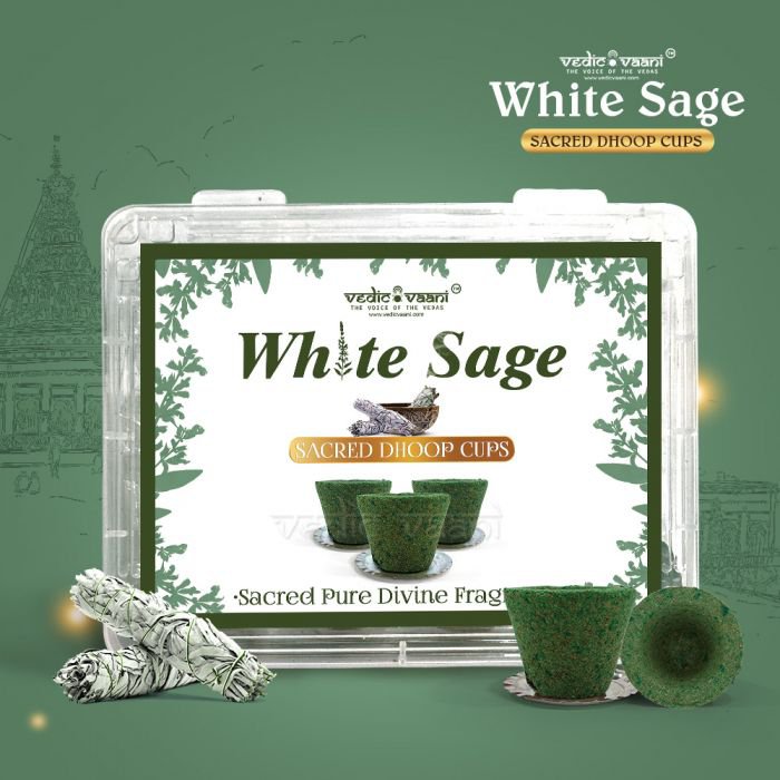 White Sage Smudging Dhoop Cups