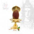 Set of Narmadeshwar Sahasralinga with Yonibase for Worship of Lord Shiva Set of Narmadeshwar Sahasralinga with Yonibase for Worship of Lord Shiva