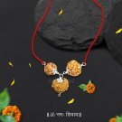 Rudraksha for Career 3,7,12 Mukhi Nepal in Silver Pendant Rudraksha for Career 3,7,12 Mukhi Nepal in Silver Pendant