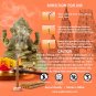 Celebration Prayer Dhoop Incense Buy Online in USA/UK/Europe