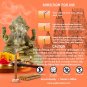 Spiritual Morning Dhoop Sticks Buy Online in USA/UK/Europe