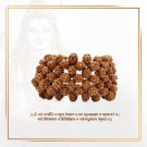 Five 5- Mukhi Punchmukhi Rudraksha Bracelet Adjustable Size (1 Pcs)