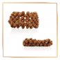 Five 5- Mukhi Punchmukhi Rudraksha Bracelet Adjustable Size (1 Pcs)
