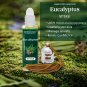 Pure 100% Alcohol Free Long Lasting Aroma Eucalyptus Attar Itar (7 ml)