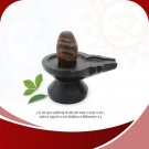Om Aum Tripunda Sacred Spiritual Symbol Shakti Shivalingum