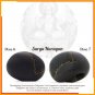 Suryanarayana Kamal Narayan Hiranyagarbha Ravi Shaligram ( 1 Pcs)