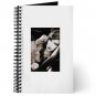May Hariri Journal