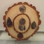 Arrowhead Display 4