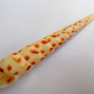 Oxymeris areolata 119 mm #0167