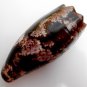 Conus geographus, 93.8 mm #0174
