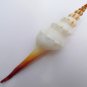 Fusinus colus 130.4 mm #0176