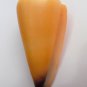 Conus virgo 84.1 mm #0178