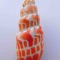 Mitra stictica 61 mm #0195