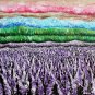 Contemporary Landscape, Large Original Oil Painting, Lavender Fields, Abstract, Impasto, Purple Pink