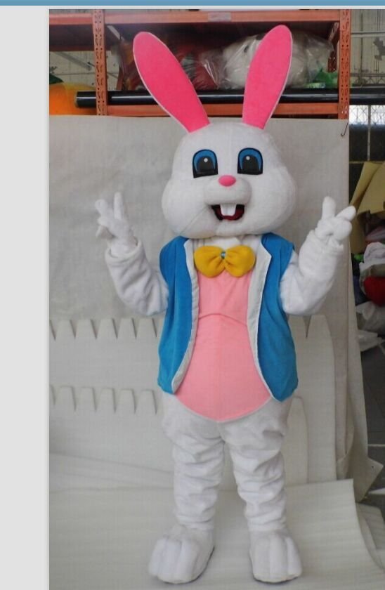 Custom made Easter Bunny mascot costume for party