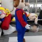 Custom made Super Mario mascot costume mascot for party