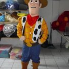 Custom made Sheriff Woody Mascot Costume for Birthday party