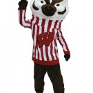 Customized new Bucky Badger mascot costumes Wisconsin Badger for party