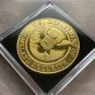 USA Border Patrol Challenge Coin -DOHS Gold Tone with 2x2 Case 40mm-Great Gift!
