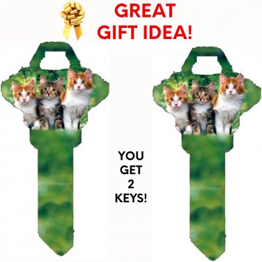 2X KITTENS-CATS Uncut NEW Key Blank-HOME HOUSE KEYS SCHLAGE SC-1