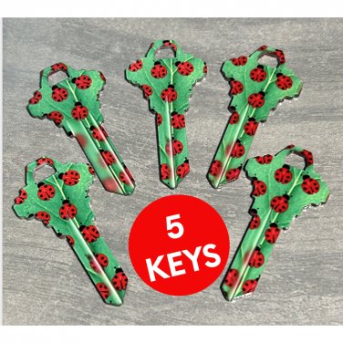 5X-LADYBUG KEYS Uncut NEW House Key Blanks HOUSE SCHLAGE SC-1