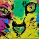 Pop Art