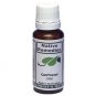 CanTravel - Herbal Remedy for Travel and Motion Sickness and Nausea