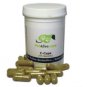 PetAlive C-Caps - Pet Cancer Formula