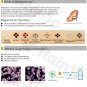 Healing Magnetic Bracelet 316L Stainless Steel Health Elements(Magnetic,FIR,Germanium) Bracelet