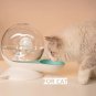 Automatic Cat Water Bubble Fountain Water Dispenser & Auto Pet Food Dispenser