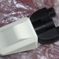 Nikon Binocular Microscope tube E2-TB Excellent shape Clean
