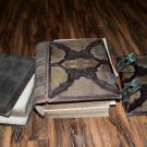 The Holy Bible 1889 Parallel Columns Pictorial Concordance FOR RESTORE AS IS