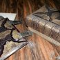 The Holy Bible 1889 Parallel Columns Pictorial Concordance FOR RESTORE AS IS