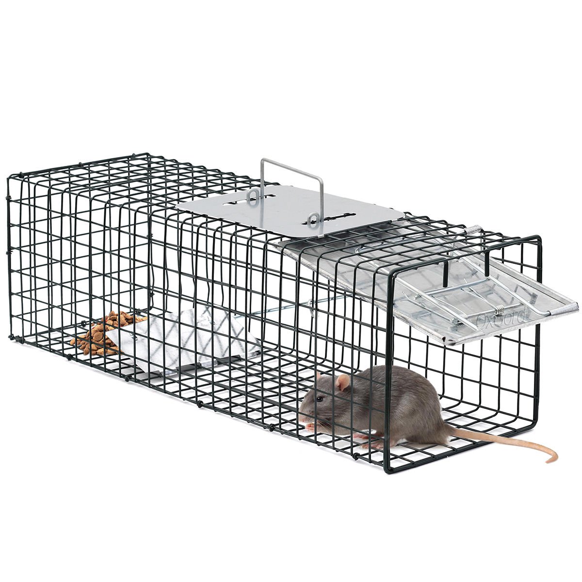 Humane Animal Trap 24x7x7 Steel Cage For Small Live Rodent Control Rat 