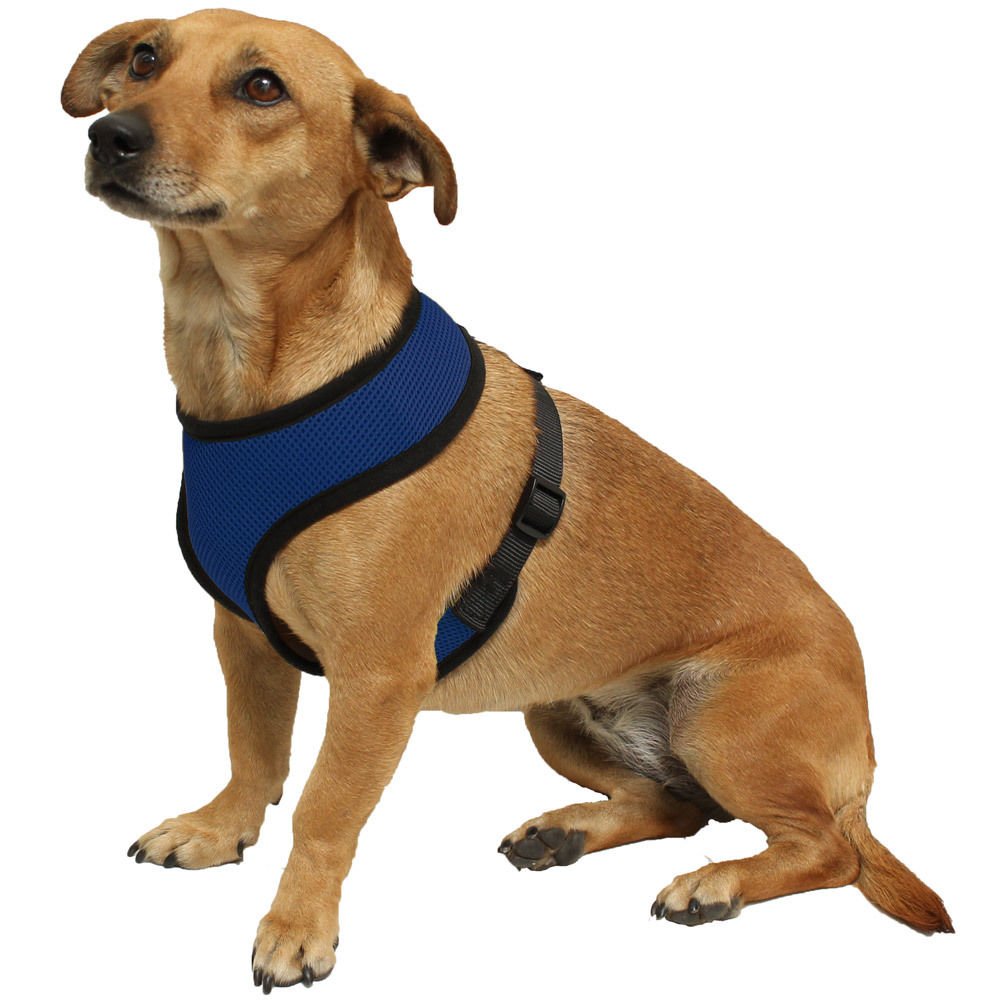 Pet Control Harness Small Dog & Cat Soft Blue Mesh Walk Collar Safety ...