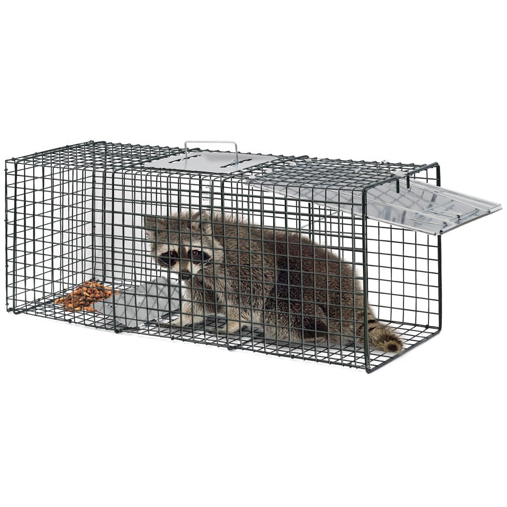 Humane Animal Trap 32x12x12 Steel Cage Live Rodent Control Skunk Rabbit